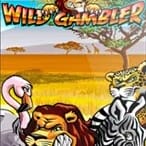 Wild Gambler screenshot